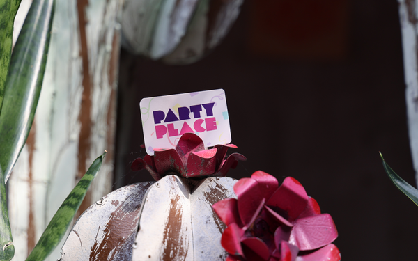Welcome to the Party Place Blog