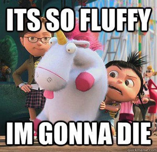 No More Fluff